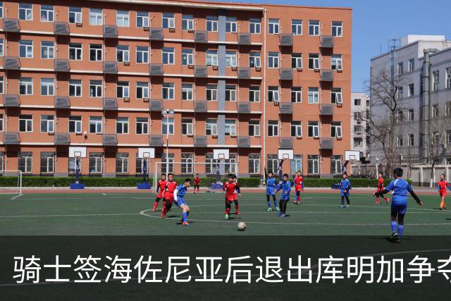骑士签海佐尼亚后退出库明加争夺战 湖人成唯一追求者